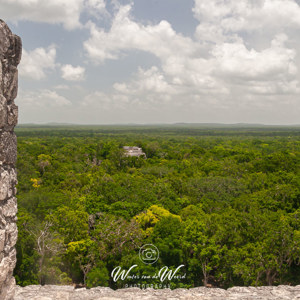 2008-07-24 - Weer een geweldig uitzicht over de jungle<br/>Maya-ruine Calakmul - Calakmul - Mexico<br/>Canon EOS 30D - 22 mm - f/16.0, 0.01 sec, ISO 400