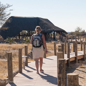 2007-08-21 - Op weg naar de waterpoel bij Namutoni<br/>Etosha NP - Namibie<br/>Canon EOS 30D - 41 mm - f/8.0, 1/320 sec, ISO 200