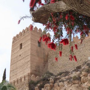 2023-04-21 - Gerestaureerd fort<br/>Alcazaba de Almería - Almería - Spanje<br/>Canon PowerShot SX70 HS - 12.4 mm - f/5.0, 1/500 sec, ISO 100