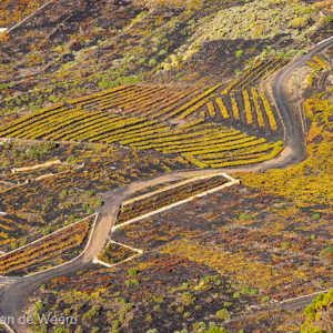 2022-11-14 - Uitzicht omlaag op de bewerkte landjes<br/>Volcan San Antonio- Los Canarios - La Palma - Canarische eilanden - Spanje<br/>Canon EOS R5 - 200 mm - f/8.0, 1/200 sec, ISO 200