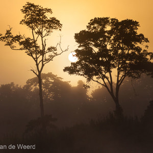 2009-08-19 - De zon kwam vrij snel op<br/>Kinabatangan rivier - Sukua - Maleisië<br/>Canon EOS 50D - 100 mm - f/8.0, 1/640 sec, ISO 100