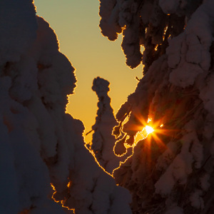 2011-02-12 - Silhouetten-spel<br/>Iso Syöte - Finland<br/>Canon EOS 7D - 105 mm - f/13.0, 1/200 sec, ISO 200