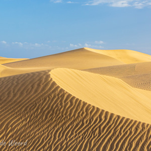 2021-10-26 - Mooie patronen in de gouden zandduinen<br/>Las Dunas de Maspalomas - Maspalomas - Gran Canaria - Spanje<br/>Canon EOS 5D Mark III - 100 mm - f/8.0, 1/200 sec, ISO 320