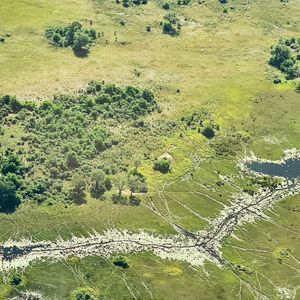 2024-04-29 - Ook de wildpaadjes zijn goed zichtbaar vanuit het vliegtuig<br/>Onderweg (vliegtuigje) - Kasane - airstrip Jedibe – Kal - Botswana<br/>SM-G981B - 5.9 mm - f/2.0, 1/700 sec, ISO 50