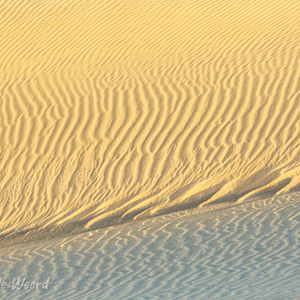 2021-11-02 - Lijnenspel in het zand<br/>Las Dunas de Maspalomas - Maspalomas - Gran Canaria - Spanje<br/>Canon EOS 5D Mark III - 200 mm - f/8.0, 1/125 sec, ISO 400