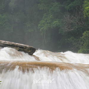 2008-07-21 - Wanneer zou deze naar beneden komen?<br/>Agua Azul - Agua Azul - Mexico<br/>Canon EOS 30D - 85 mm - f/22.0, 1/8 sec, ISO 100