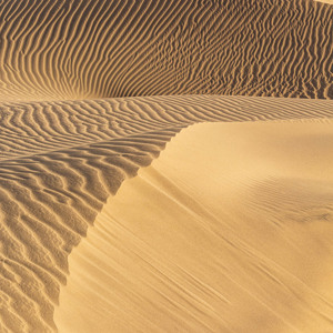 2021-10-26 - Alsof we in de Sahara waren<br/>Las Dunas de Maspalomas - Maspalomas - Gran Canaria - Spanje<br/>Canon EOS 5D Mark III - 164 mm - f/11.0, 1/125 sec, ISO 320