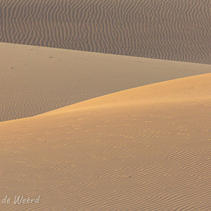 2021-10-26 - Structuur en spel van licht en schaduw<br/>Las Dunas de Maspalomas - Maspalomas - Gran Canaria - Spanje<br/>Canon EOS 5D Mark III - 400 mm - f/8.0, 1/60 sec, ISO 400