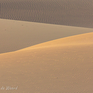 2021-10-26 - Structuur en spel van licht en schaduw<br/>Las Dunas de Maspalomas - Maspalomas - Gran Canaria - Spanje<br/>Canon EOS 5D Mark III - 400 mm - f/8.0, 1/60 sec, ISO 400