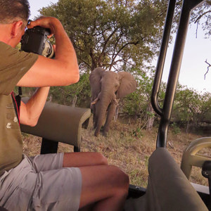 2024-05-01 - Deze olifant stond best dichtbij<br/>Kwai Lediba Camp - Kwai (Okavango Delta) - Botswana<br/>Canon PowerShot SX70 HS - 4 mm - f/3.5, 1/30 sec, ISO 800