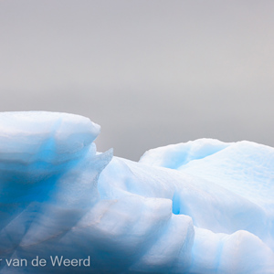 2022-07-17 - Blauwe ijsschots<br/>Storoya - Spitsbergen<br/>Canon EOS R5 - 278 mm - f/5.6, 1/5000 sec, ISO 800