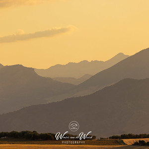 2023-04-30 - Laagjes in het bergenlandschap<br/>Villanueva de la Concepción - Spanje<br/>Canon EOS R5 - 400 mm - f/5.6, 1/800 sec, ISO 800