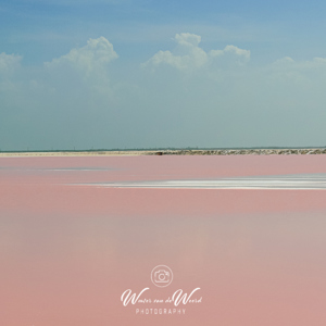 2008-07-10 - Zoutwinnings-gebied (dat roze kleurt)<br/>Onderweg naar Las Coloradas - Rio Lagartos - Mexico<br/>Canon EOS 30D - 41 mm - f/8.0, 1/800 sec, ISO 200