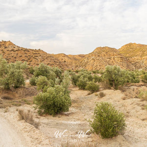 2023-04-27 - Alsof je in Amerika wandelt<br/>Cañada de la Ventanilla - Campi - Gorafe - Spanje<br/>Canon EOS R5 - 35 mm - f/11.0, 0.02 sec, ISO 400