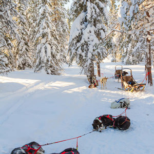 2011-02-09 - De Huskies rusten even uit<br/>Finn Jan Huskyfarm - Jurmu - Finland<br/>Canon EOS 7D - 24 mm - f/8.0, 1/60 sec, ISO 200