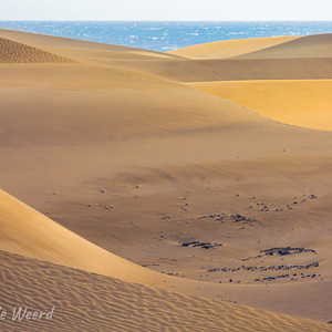 2021-10-26 - Kleurenspel bij de zandduinen<br/>Las Dunas de Maspalomas - Maspalomas - Gran Canaria - Spanje<br/>Canon EOS 5D Mark III - 400 mm - f/8.0, 0.01 sec, ISO 200