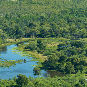 2024-05-01 - Olifant in het water, vanuit het vliegtuig<br/>Onderweg (vliegtuigje) - Okavango Delta - airstrip Kwai R - Botswana<br/>Canon EOS R6m2 - 105 mm - f/7.1, 1/1000 sec, ISO 800
