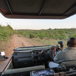 2024-04-28 - Vroeg in de ochtend op pad<br/>Chobe NP - Botswana<br/>Canon PowerShot SX70 HS - 3.8 mm - f/4.0, 0.02 sec, ISO 100