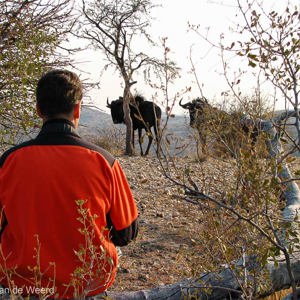 2007-08-05 - Wouter vlakbij de Wildebeesten<br/>Daan Viljoen NP - Windhoek - Namibie<br/>Canon PowerShot S2 IS - 13.5 mm - f/4.0, 1/320 sec, ISO 50