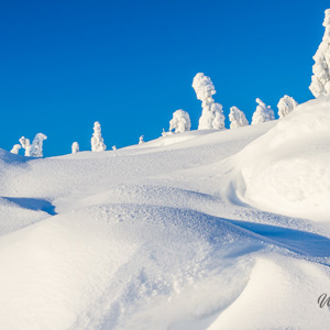 2011-02-12 - Sneeuwvormen<br/>Iso Syöte - Finland<br/>Canon EOS 7D - 40 mm - f/10.0, 1/160 sec, ISO 200