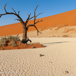 2007-08-10 - Bijzonder landschap van Hiddenvlei<br/>Sossusvlei - Hiddenvlei - Sesriem - Namibie<br/>Canon EOS 30D - 16 mm - f/22.0, 0.02 sec, ISO 100