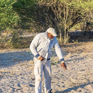 2024-05-07 - Op zoek naar de leeuwensporen<br/>Deception Valley Lodge - Central Kalahari Game Reserve - Botswana<br/>Canon EOS R6m2 - 100 mm - f/6.3, 1/125 sec, ISO 250