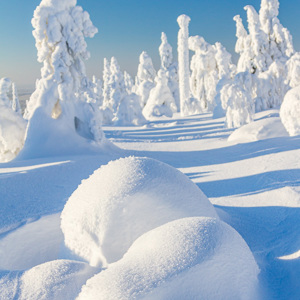 2011-02-13 - Sneeuwvormen<br/>Iso Syöte - Finland<br/>Canon EOS 7D - 28 mm - f/4.0, 1/1250 sec, ISO 200