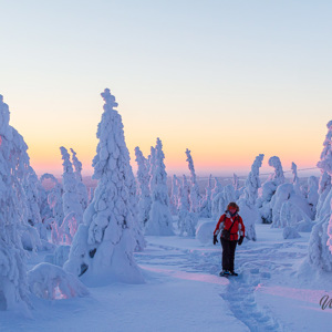 2011-02-13 - Carin in het prachtige sneeuwlandschap<br/>Iso Syöte - Finland<br/>Canon EOS 7D - 24 mm - f/8.0, 1/40 sec, ISO 400