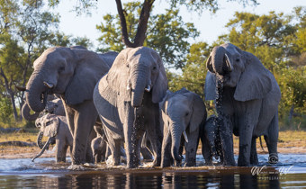 Botswana