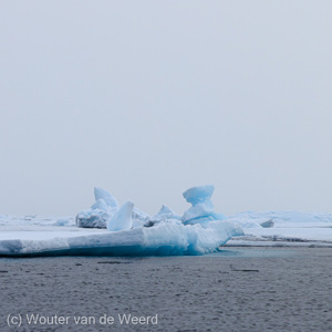 2022-07-16 - Hier waren iets grotere ijsschotsen<br/>Pakijs grens op 81,39° NB - Spitsbergen<br/>Canon EOS R5 - 105 mm - f/11.0, 1/500 sec, ISO 400