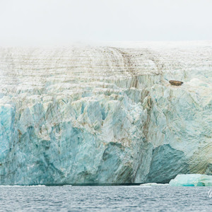 2023-09-20 - Van dichtbij vanuit de zodiac is dit enorm indrukwekkend<br/>Carlsbergfjord - Groenland<br/>Canon EOS R6m2 - 220 mm - f/6.3, 1/640 sec, ISO 1250