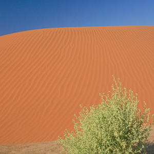 2007-08-10 - Onderweg naar Hiddenvlei<br/>Sossusvlei - Sesriem - Namibie<br/>Canon EOS 30D - 20 mm - f/16.0, 1/60 sec, ISO 200