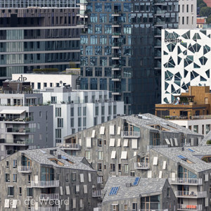2022-07-23 - Moder en volgebouwd<br/>Barcode - Oslo - Noorwegen<br/>Canon EOS R5 - 400 mm - f/5.6, 1/2000 sec, ISO 400