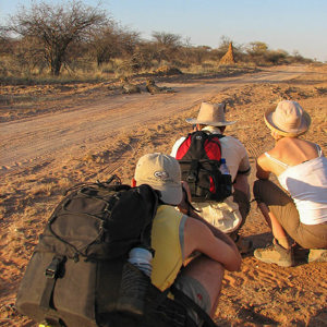 2007-08-23 - De cheeta's zijn op jacht, maar hebben even pauze<br/>Okonjima Nature Reserve - Otjiwarongo - Namibie<br/>Canon PowerShot S2 IS - 6 mm - f/4.0, 1/200 sec, ISO 11995