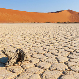 2007-08-10 - Gebarsten grond<br/>Sossusvlei - Hiddenvlei - Sesriem - Namibie<br/>Canon EOS 30D - 22 mm - f/22.0, 1/125 sec, ISO 200