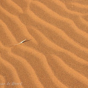 2007-08-11 - Duinpatroon - photoItem.Description<br/>Sossusvlei - Sesriem - Namibie<br/>Canon EOS 30D - 85 mm - f/16.0, 1/80 sec, ISO 200