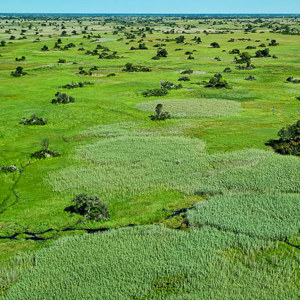 2024-04-29 - Mooi uitzicht over het groene landschap vanuit het vliegtuig<br/>Onderweg (vliegtuigje) - Kasane - airstrip Jedibe – Kal - Botswana<br/>SM-G981B - 5.4 mm - f/1.8, 1/2700 sec, ISO 50