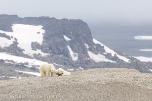 Spitsbergen