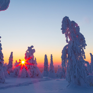 2011-02-13 - Net voor zonsondergang<br/>Iso Syöte - Finland<br/>Canon EOS 7D - 24 mm - f/16.0, 1/15 sec, ISO 400