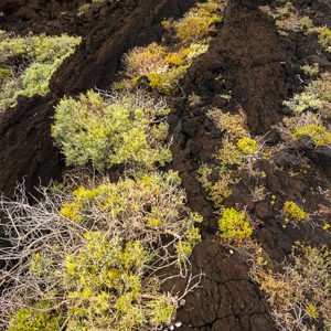 2022-11-08 - Mooi contrast<br/>Faro de Salomera - La Palma - Canarische eilanden - Spanje<br/>Canon EOS R5 - 24 mm - f/8.0, 0.02 sec, ISO 200